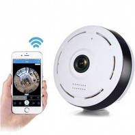 360 Degree IP Camera-2142