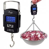 Digital Weight Scale(0-50 KG)-2017